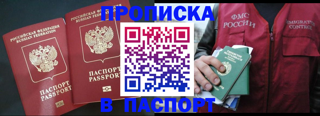 прописка 2025 в Светлогорске